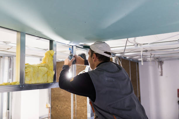 Best Insulation Maintenance and Repair in Fruitvale, CO
