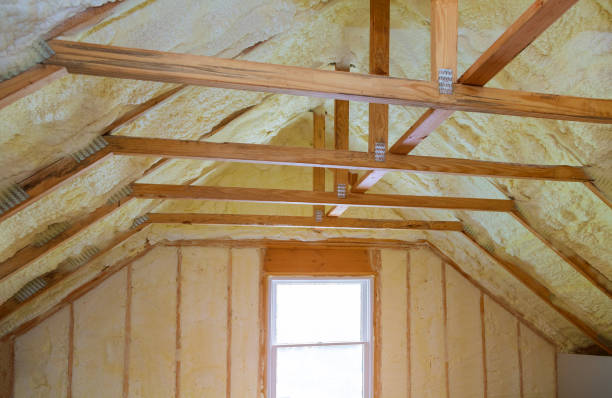 Best Commercial Insulation in Fruitvale, CO
