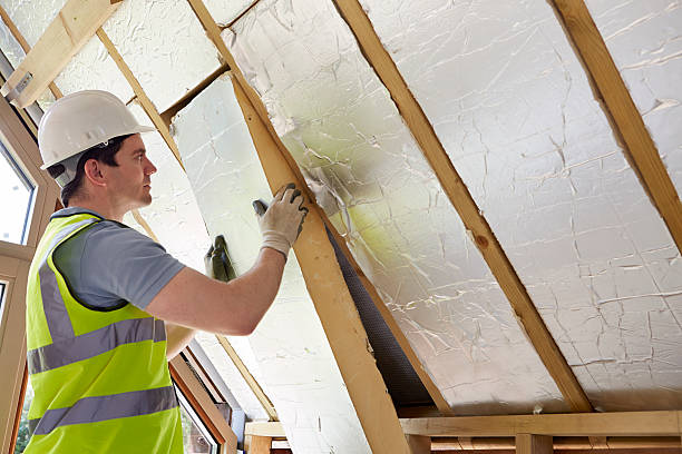 Best Energy Efficiency Insulation in Fruitvale, CO