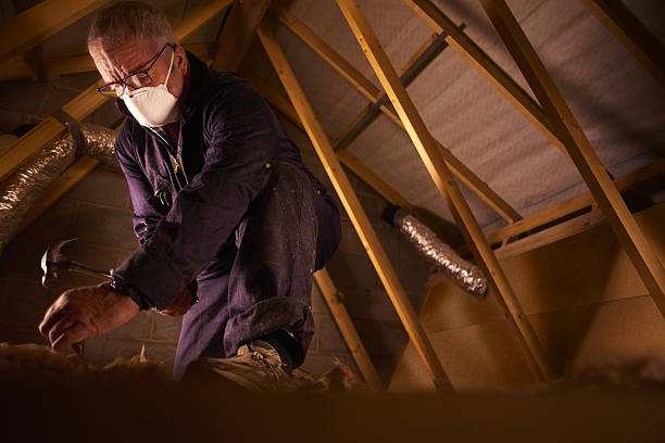 Best Residential Insulation in Fruitvale, CO